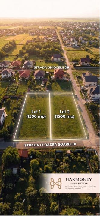 2 Loturi x 1.500 mp (sau Domeniu 3.000 mp) în Lilieci, Sinești